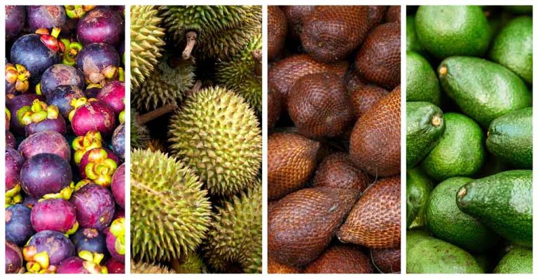 Kupas Potensi Ekspor Buah Tropis 
